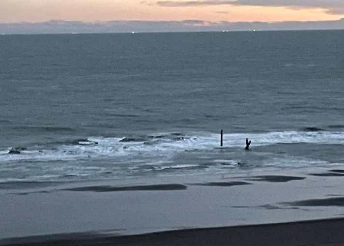 Torres Al Mar 10